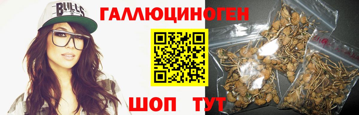 Нижнекамск  Псилоцибиновые грибы Psilocybine cubensis  Вход с VPN 